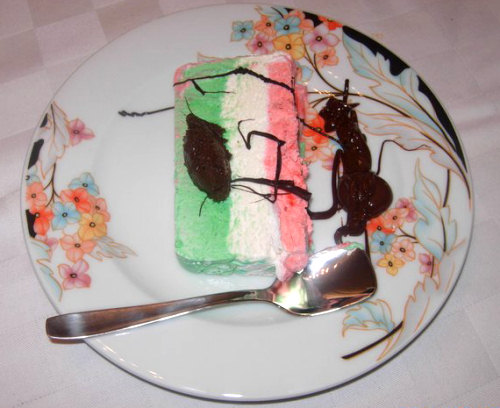 DOlce tricolore di Bianca