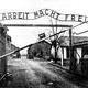 Auschwitz.jpg