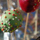 cakepops_biscotto.jpg