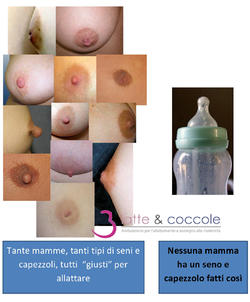 tanti_capezzoli.jpg